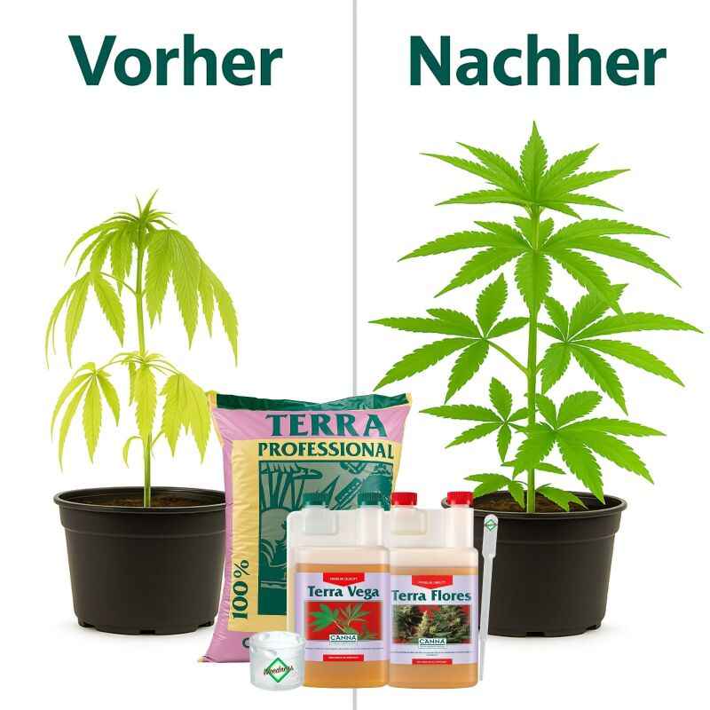 Canna Terra Prof. Erde-Set – Grow Erde Standard