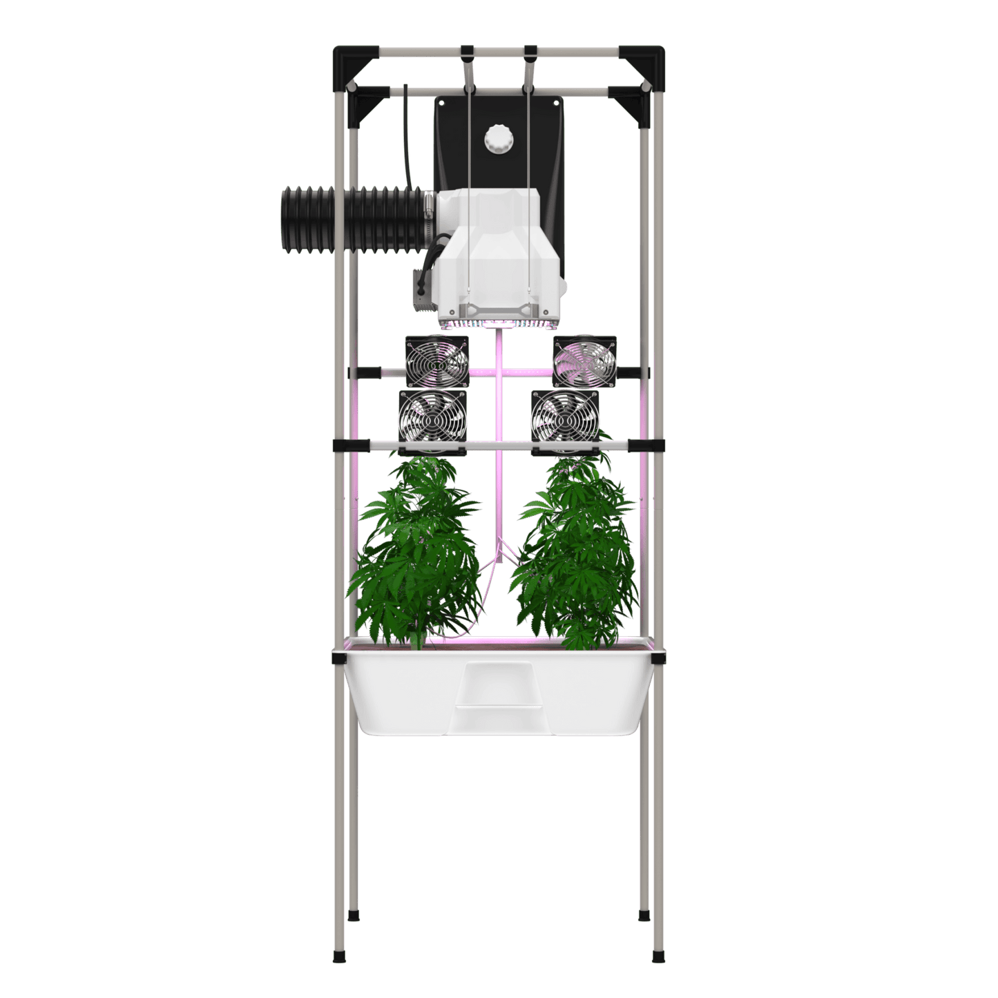 LIVING SOIL growSYSTEM + Bio2Grow living und BioBizz Set