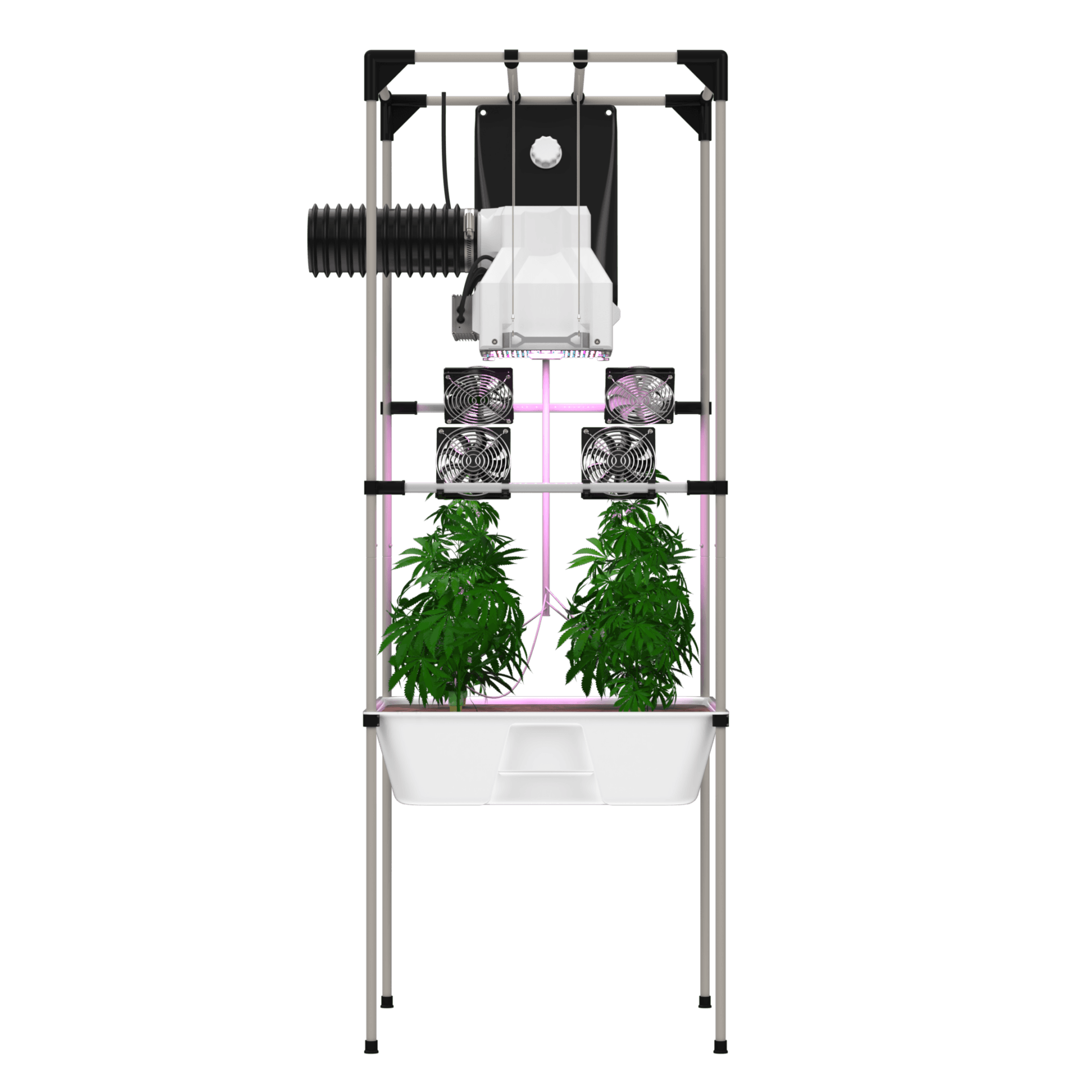 LIVING SOIL growSYSTEM + Bio2Grow living und BioBizz Set