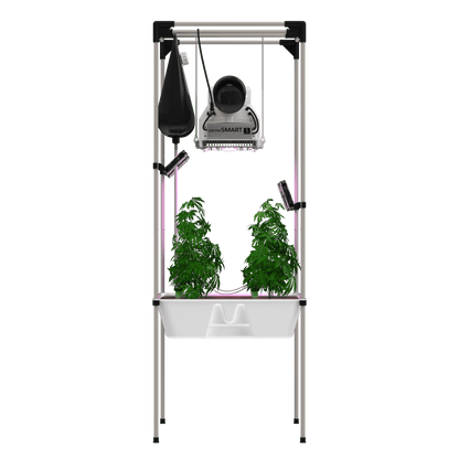 LIVING SOIL growSYSTEM + Bio2Grow living und BioBizz Set