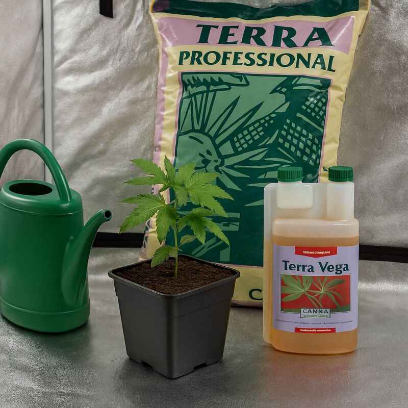 Canna Terra Prof. Erde-Set – Grow Erde Standard