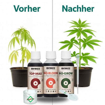BioBizz Set Indoor 3-teilig – Indoor Dünger Set