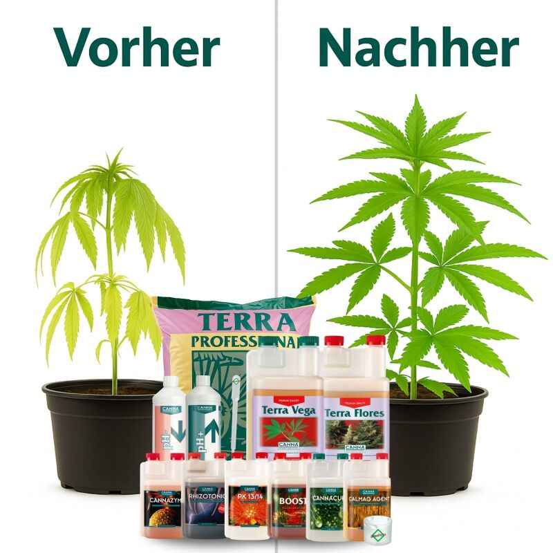 Canna Terra Prof. Erde-Set Big XL – Pflanzenzucht Blumenerde
