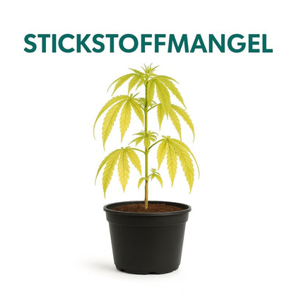 Canna Stickstoff 1 Liter – Stickstoff Zusatz Pflanzen