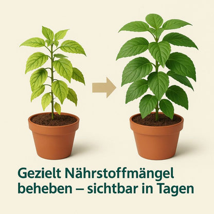 Canna 8-Teiliges Mono Dünger Set – Einzel Nährstoff Dünger Set