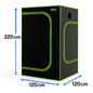 Darkbox Grow Zelt 120x120x220 cm - Indoor Growbox