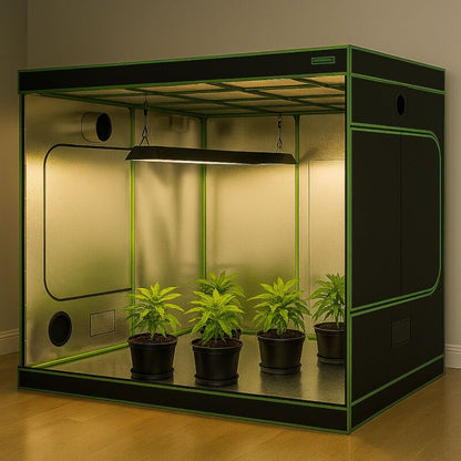 Dark Box Grow Zelt 300x150x220 cm XXL - Indoor Growbox