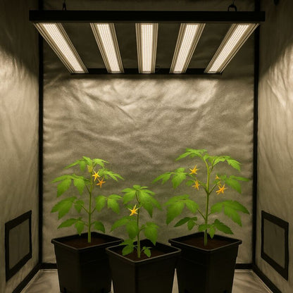 Solux 720 Watt LED Pflanzenlampe – Vollspektrum Grow Lampe