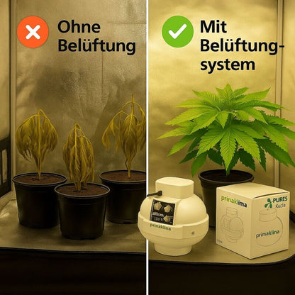 Grow Abluft Set Prima Klima Controlled 0-1180 m³ – Lüftungssystem Growbox