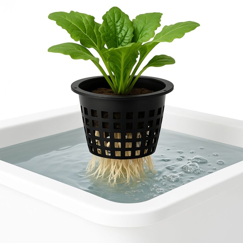 Gitternetztopf 20 cm – Hydroponik Gittertopf