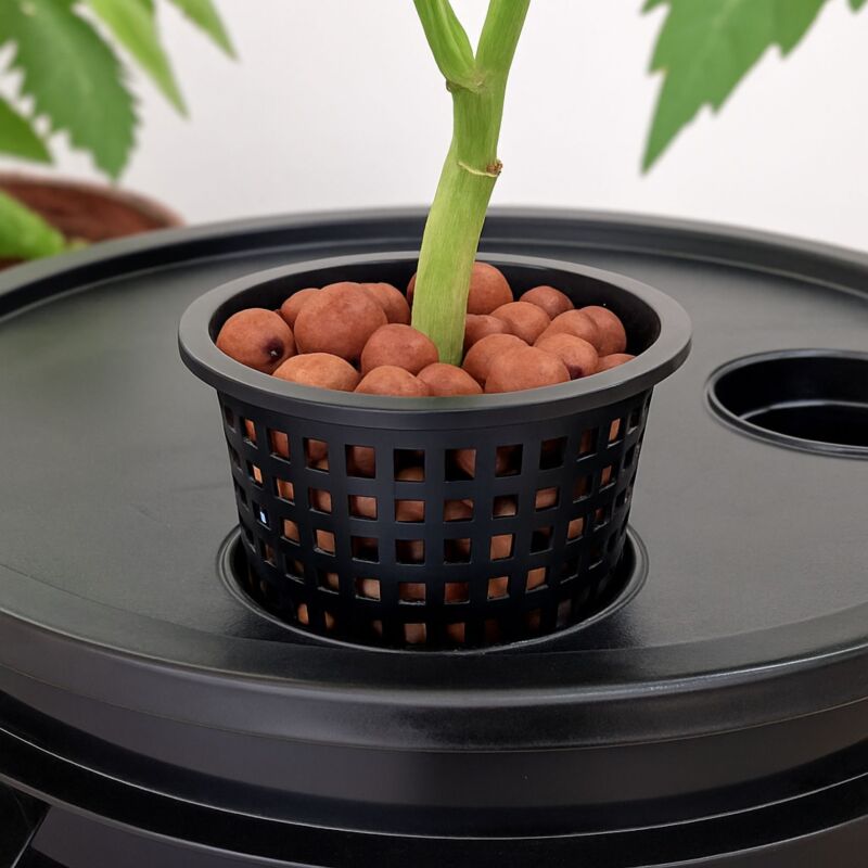 Gitternetztopf 20 cm – Hydroponik Gittertopf