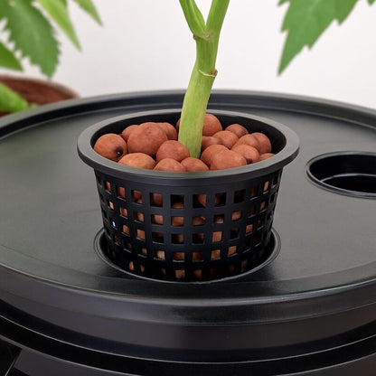 Gitternetztopf 20 cm – Hydroponik Gittertopf