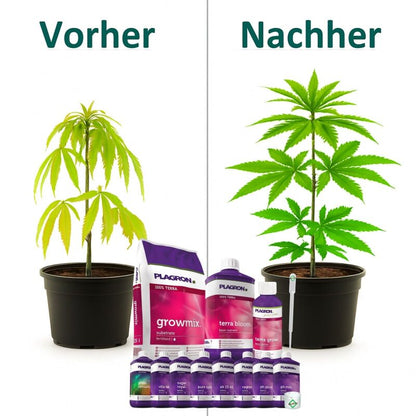 Plagron Growmix Erde-Set Big XL – Grow Erde Komplett-Set