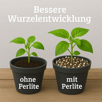 Plagron Perlite 60 Liter – Bodenbelüfter Mineralisch