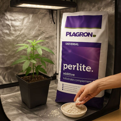 Plagron Perlite 60 Liter – Bodenbelüfter Mineralisch