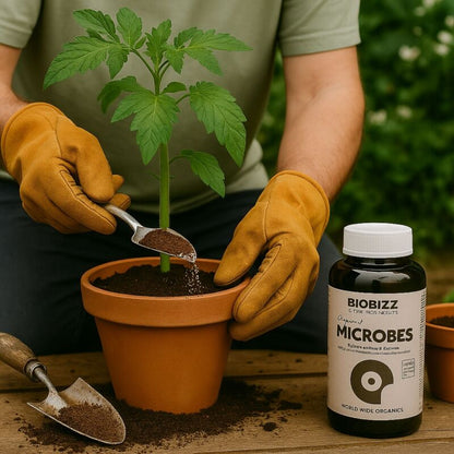 BioBizz Microbes – Bodenhilfsstoff Mikroorganismen 150g