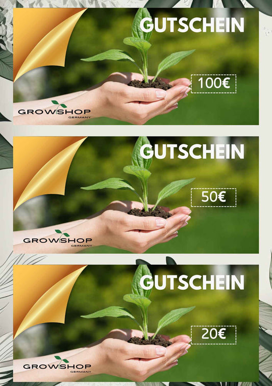 Gutschein