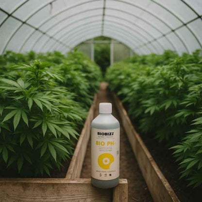 Biobizz pH- MINUS Organischer pH-Senker