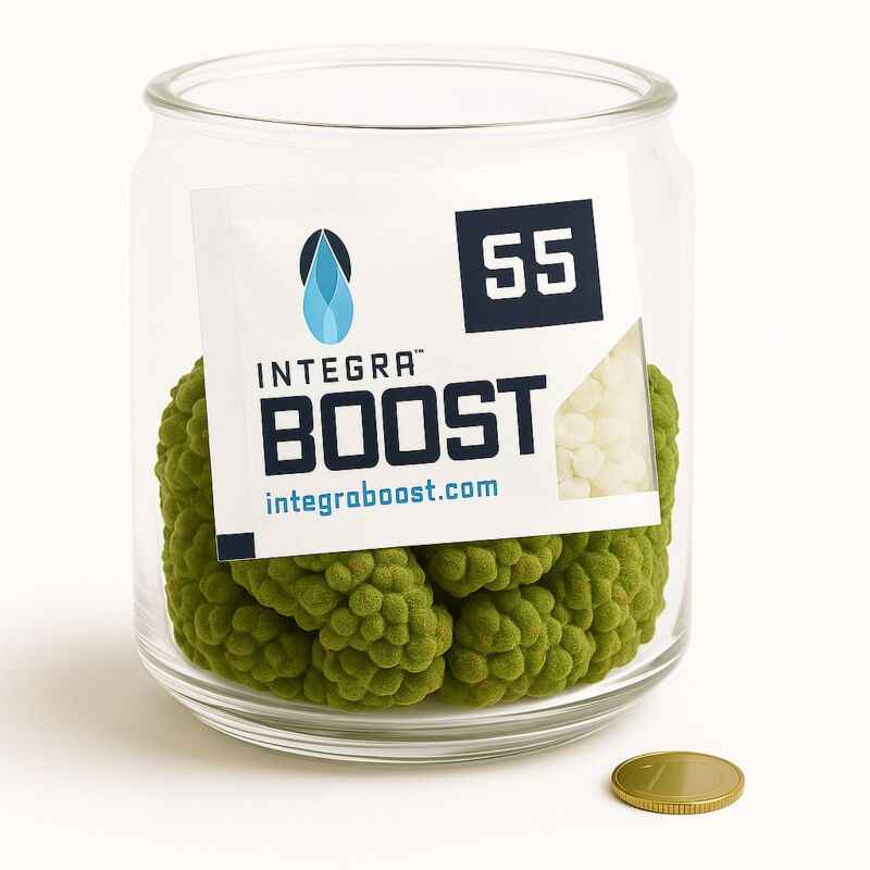 Integra Boost 55% Feuchtigkeit 67 Gramm – Feuchtigkeitsregulierung für bis 450 g