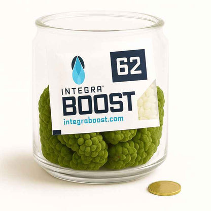 Integra Boost 62% Feuchtigkeit 67 Gramm – Feuchtigkeitsregulierung für bis 450 g