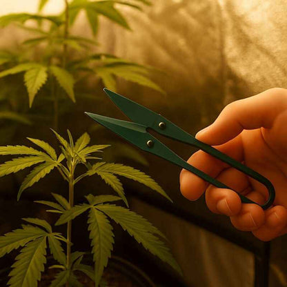 Mini-Griffschere – Präzisions Trimmschere