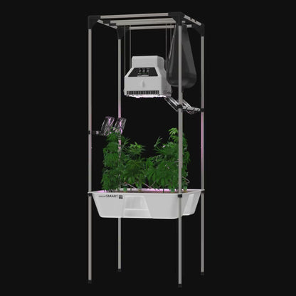 LIVING SOIL growSYSTEM