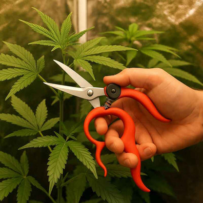 Gartenschere Freihändig – Ergonomische Pflanzenschere