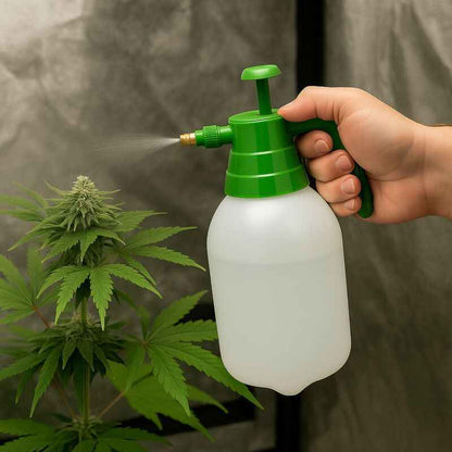 Steckling Anzucht Clonex Set Premium – Stecklingszucht Starterkit